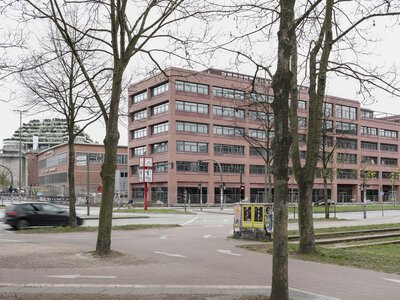 Paulihaus Fertigstellung Paulihaus